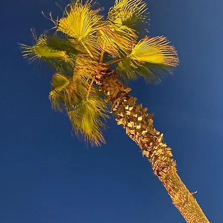 아파트 Porta Maggiore *