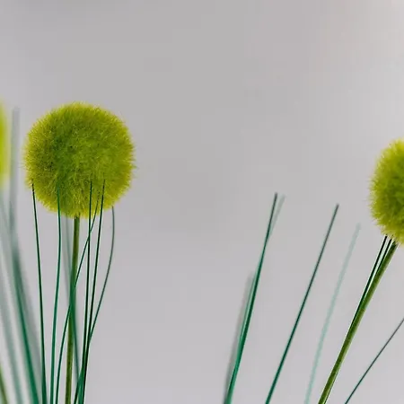 Porta Maggiore 公寓 *