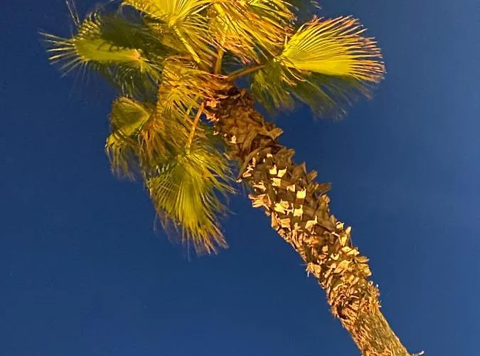 Apartman Porta Maggiore *