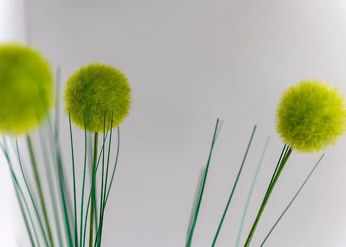 Porta Maggiore Apartamento *